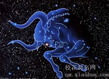 对金牛男哪招最管用
