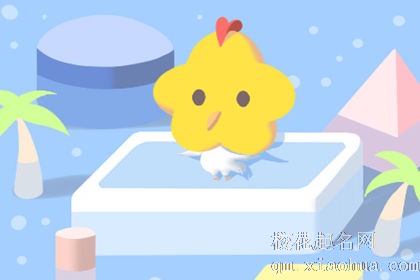 属鸡人永远最旺的颜色