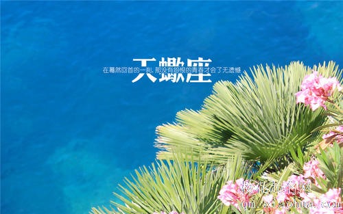 哪个星座是天蝎座软肋