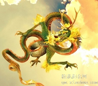 属龙人永远最旺的颜色