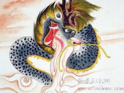 属龙人永远最旺的颜色