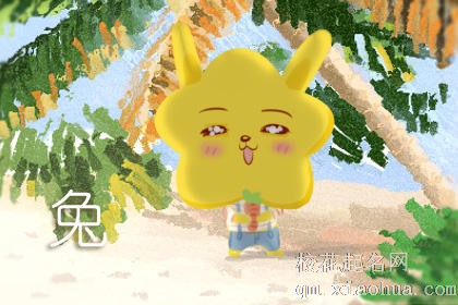 属兔上等命的出生时辰
