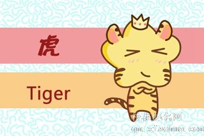 86属虎女一生有几次婚姻状况