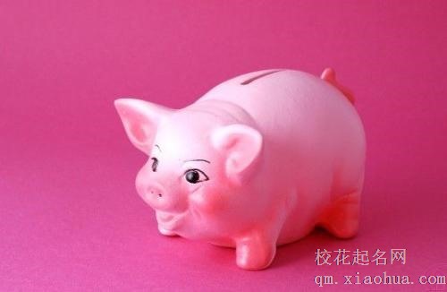 7|年属猪女的姻缘和命运
