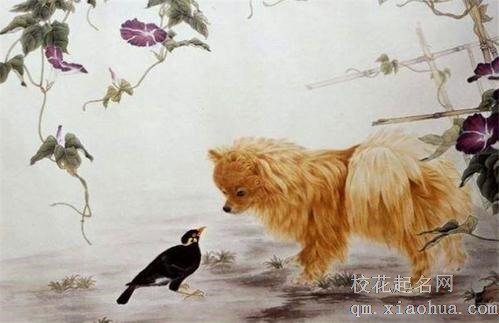 属狗人最大克星