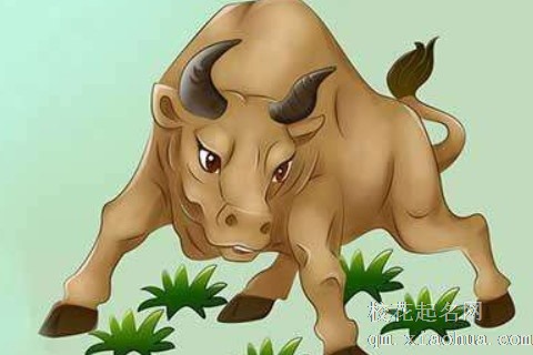 兔年运势最好的生肖