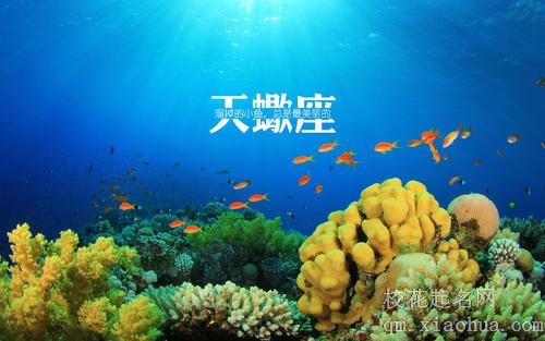 天蝎男不肯放手的女人