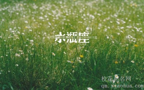 水瓶座的女人太可怕了