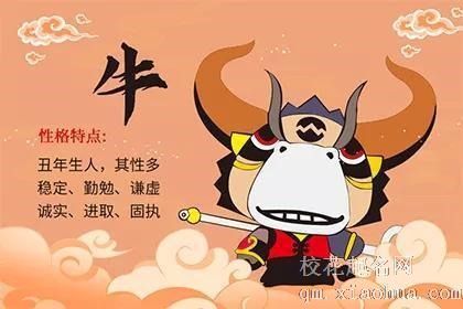 兔年女孩多还是男孩多