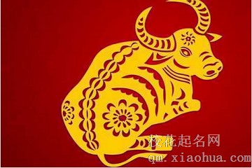 本命年牛的大忌