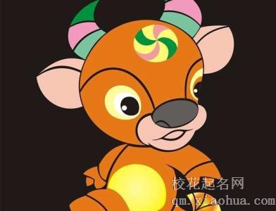 本命年牛的大忌