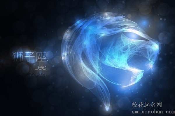 狮子男一见钟情的类型