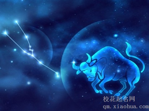 金牛座女生性格特点