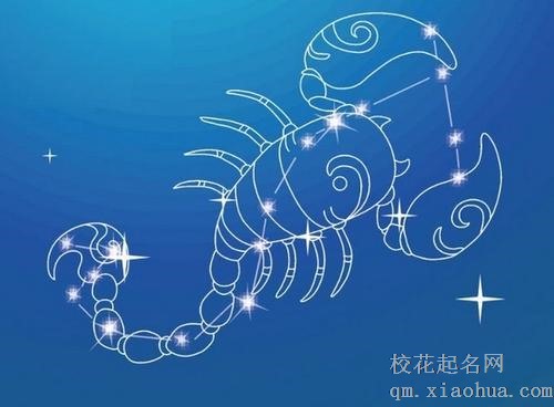 天蝎座属哪个生肖最聪明