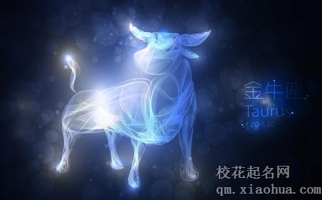 金牛男对有好感的女生