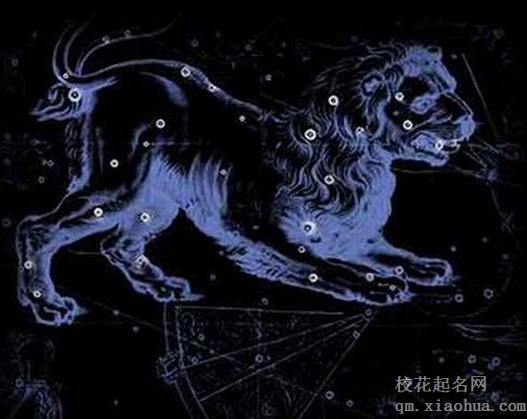 狮子座男生最吃哪套