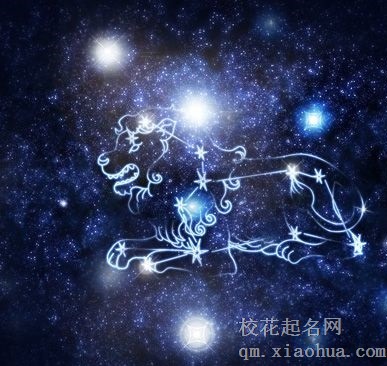 狮子座男生最吃哪套