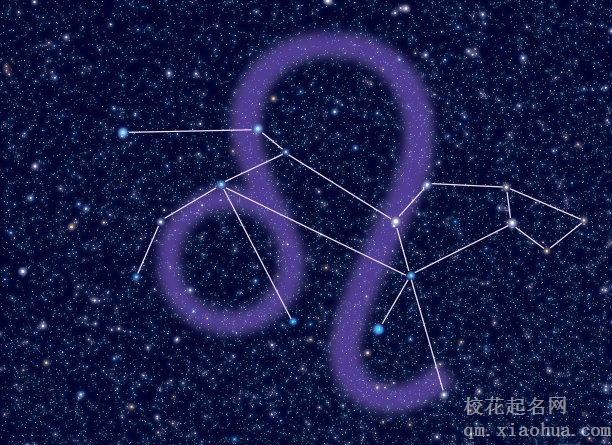 如何让狮子座主动找你
