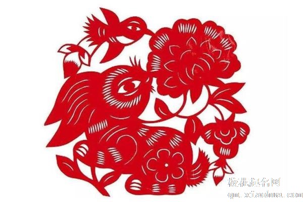 属兔最苦的是在什么年龄