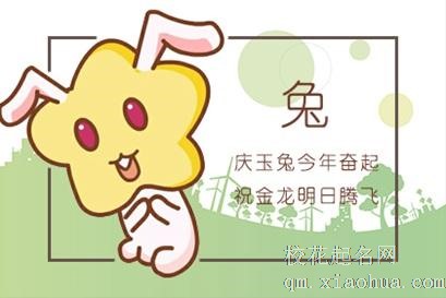 属兔33岁鬼门关血光之灾87年