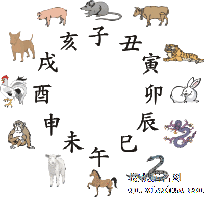 本命年不能穿红的生肖