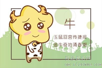 97年属牛男性最佳婚配
