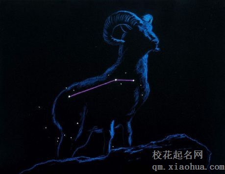 白羊男喜欢强势的还是温柔的