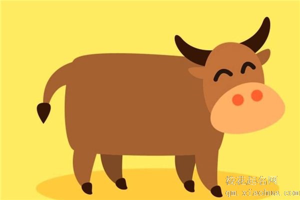 属牛的木命最忌讳什么颜色