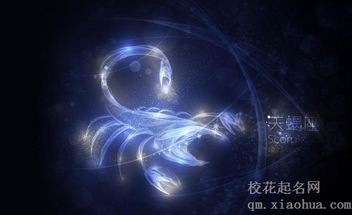 天蝎女喜欢的四种男人
