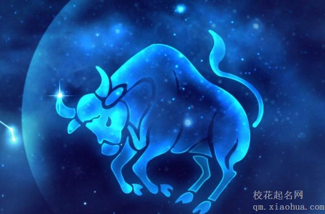 金牛男偏爱的女生类型