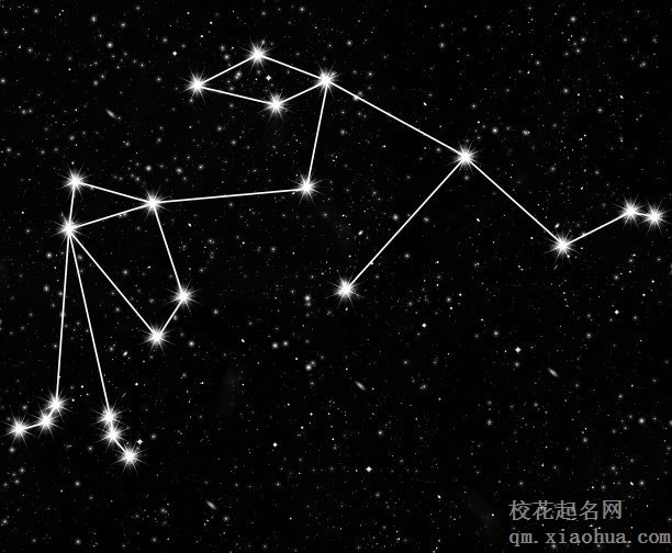 除夕夜出生的人是什么星座