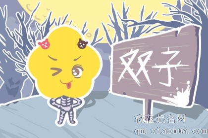 1987年的双子座命运解析 男生和女生的性格