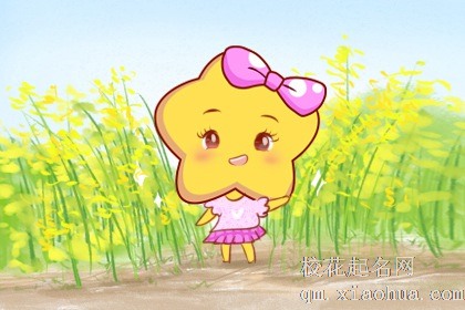 11月初,财星不断闪耀的3星座,正财旺偏财发