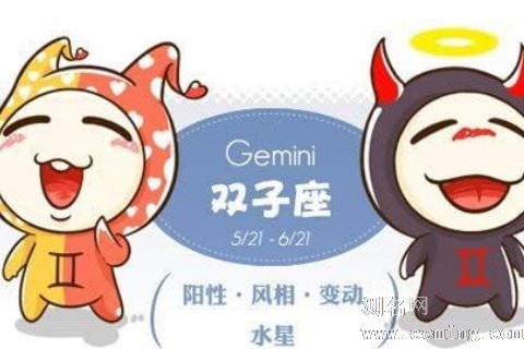 分析双子座的爱情观