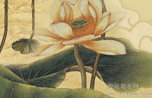 这几个星座深藏不露 实力超强 看看你上榜了没