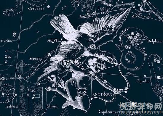 牛郎星属于什么星座，天空中最闪耀的天鹰座