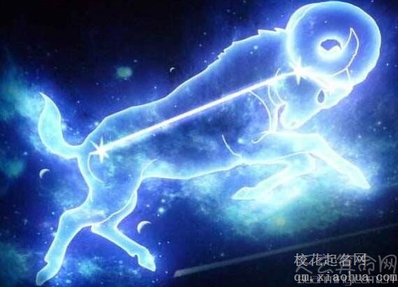 圣诞节出生是什么星座 诞节出生的人寓意幸福美满