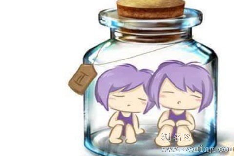 双子女让人着迷的特质