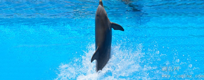 十二星座感情上最果断无情的星座