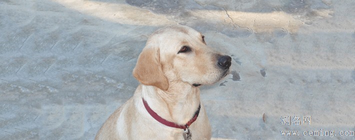 棋逢对手，和恋人一样好的星座