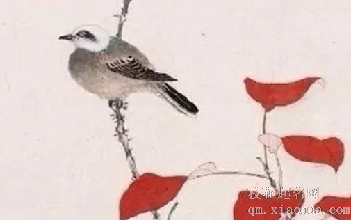 三八妇女节的由来简介 三八妇女节的寓意