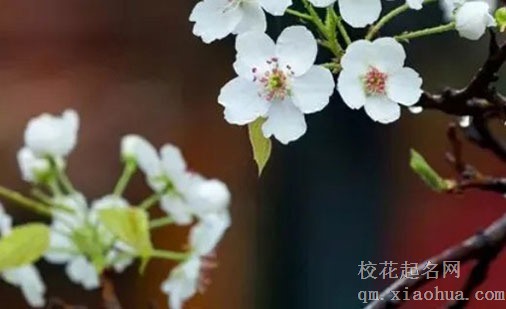 毛坯房装修前风水禁忌 方正卧室夫妻关系和谐