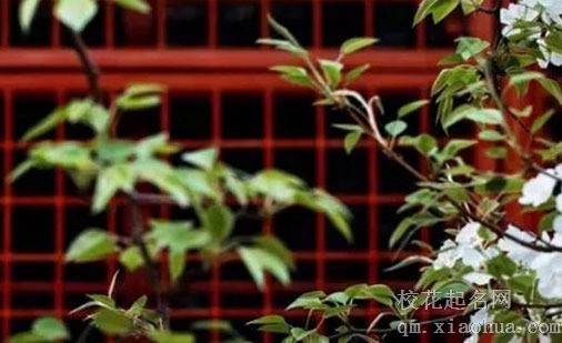 客厅的沙发的最佳朝向 客厅沙发摆放禁忌
