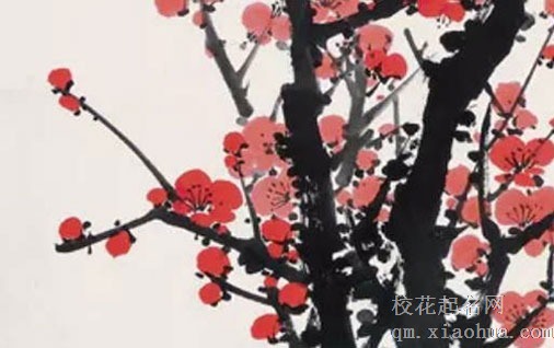 搬家做几个菜比较吉利 白菜最招财