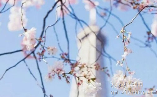 春分气候特点及养生总原则 起居养生有讲究