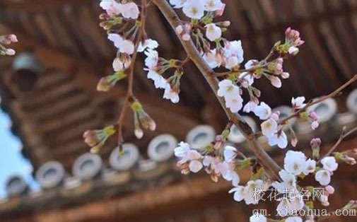 春分气候温度变化 春分节气养生知识