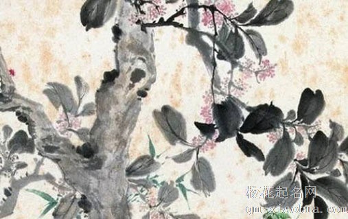 家中客厅放桃花有什么影响 催旺风水提升桃花运