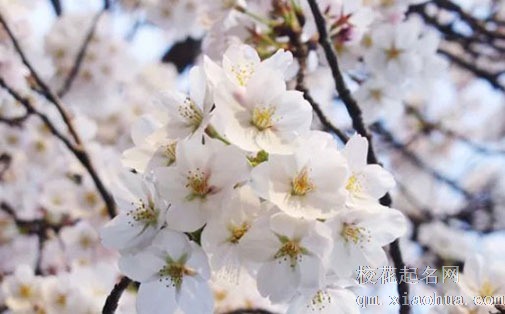 「春分节气」"春分到,蛋儿俏"说法由来