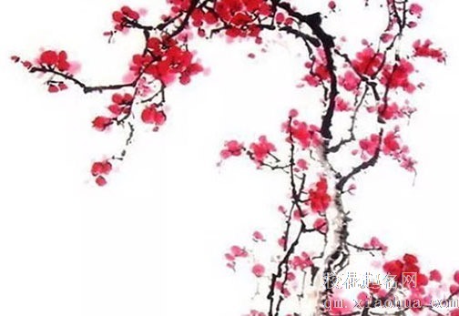上巳节五彩蛋 吃荠菜煮鸡蛋寓意美好