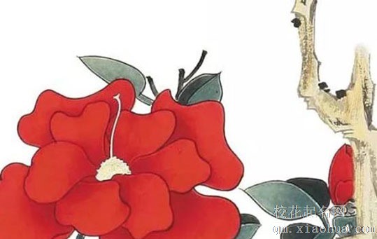 回门宴流程有哪些步骤 回门宴的日子有讲究吗